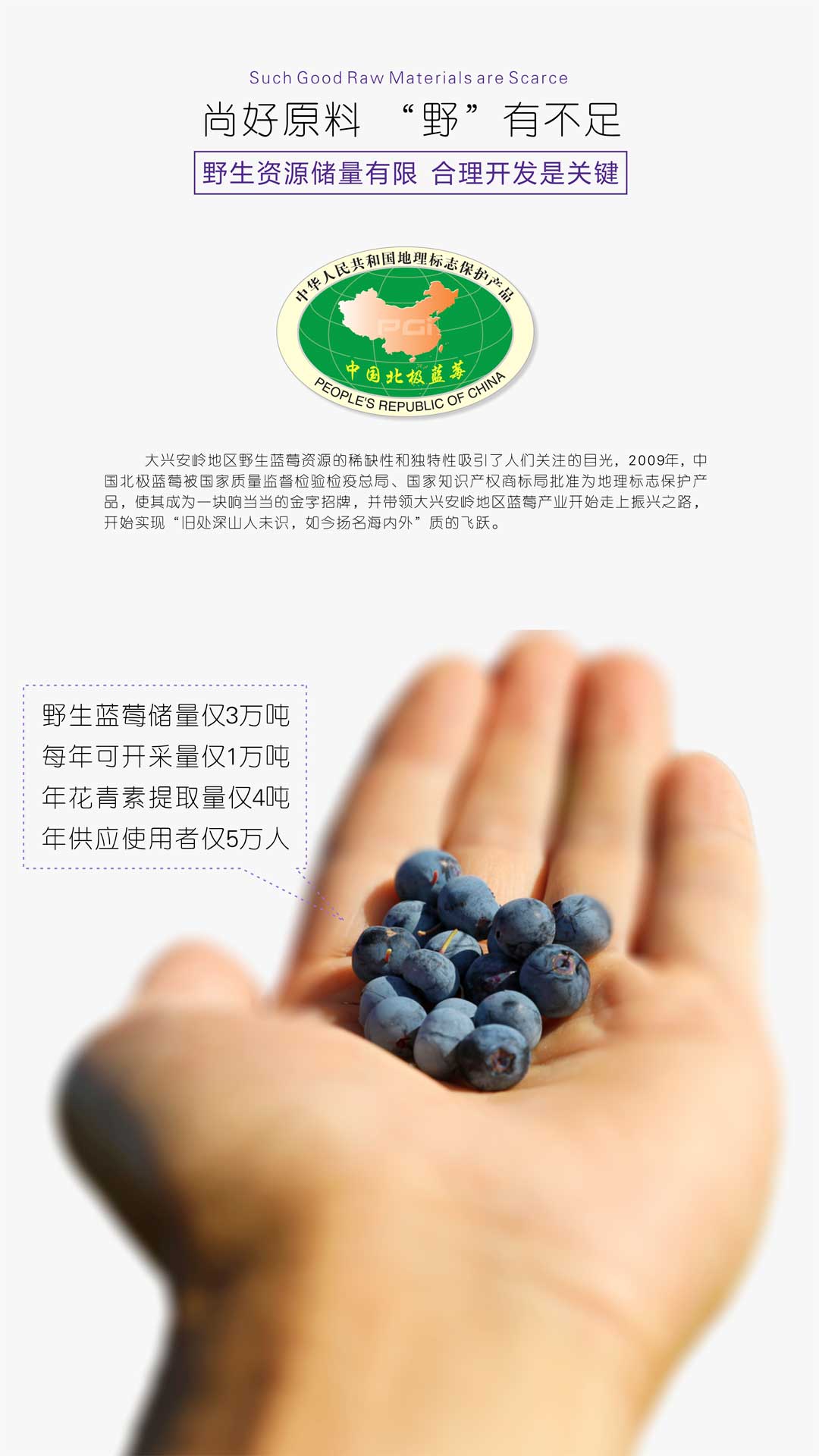 L-至臻尚品 藍(lán)莓花青素片尚品裝產(chǎn)品介紹（詳情頁）2020-06.jpg