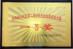 至臻尚品公司创业大赛一等奖2017.jpg