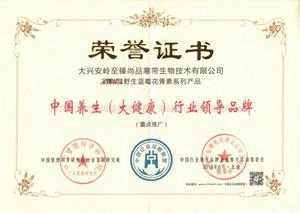 中国养生（大健康）行业领导品牌.jpg