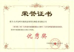 中国创新大赛  优秀奖2018.jpg