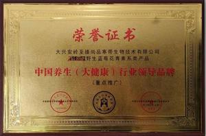 中国养生（大健康）行业领导品牌.jpg