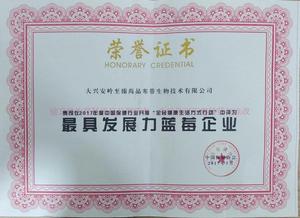 最具发展力蓝莓企业.jpg